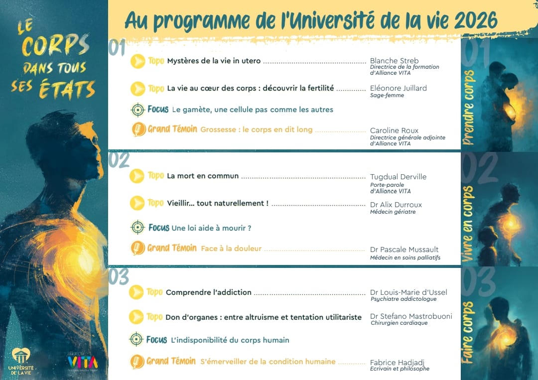 programme alliance vita