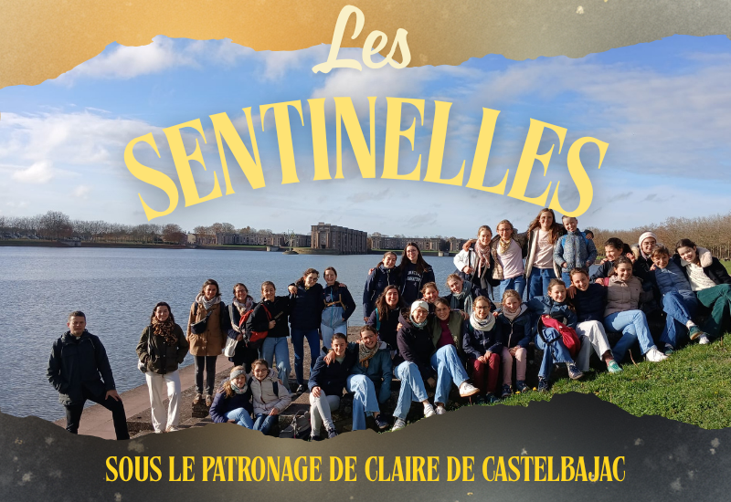 sentinelles vignette