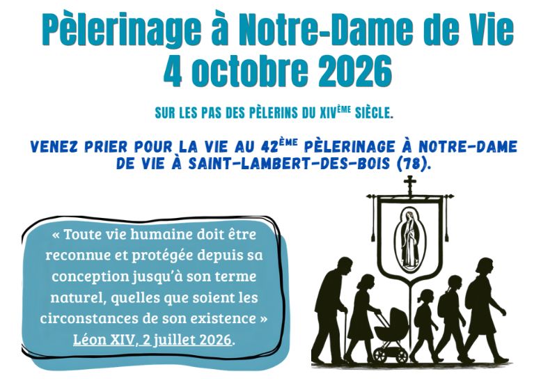 vignettes nd de vie